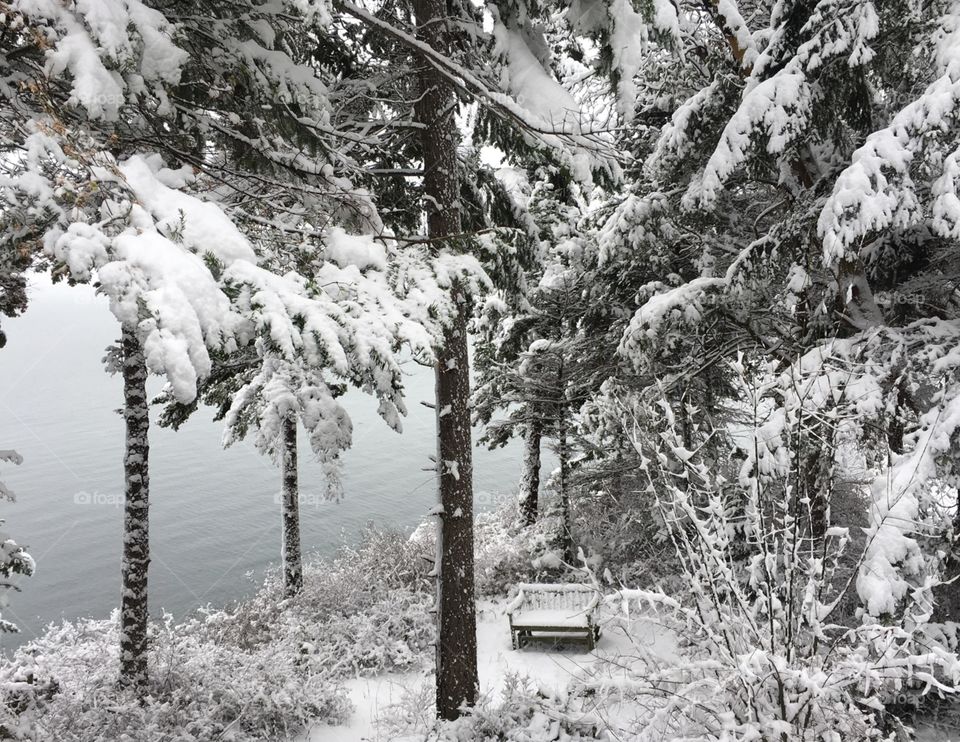 A bench in the snow