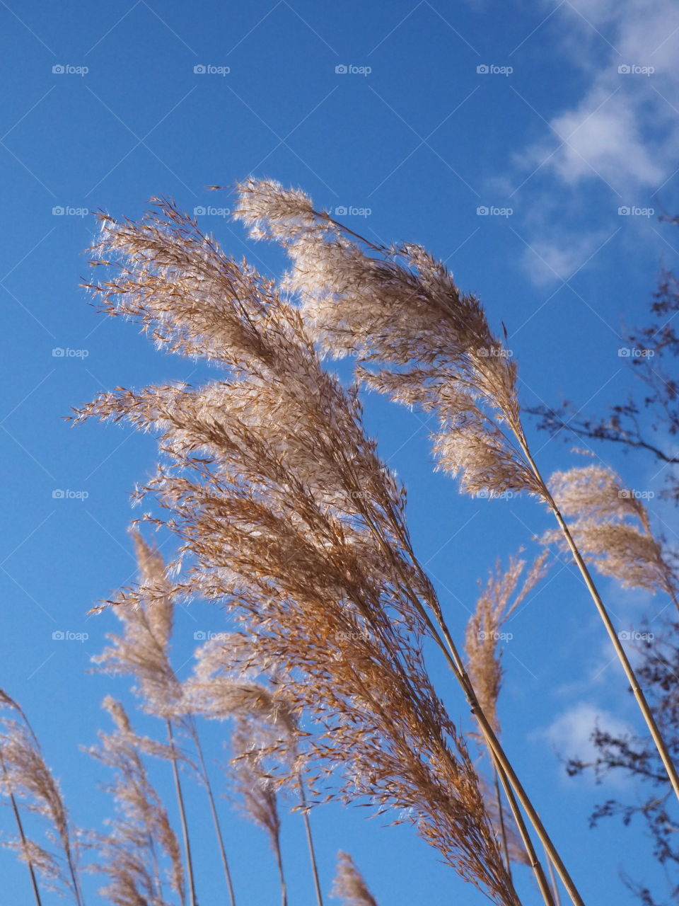 No Person, Nature, Sky, Fair Weather, Winter