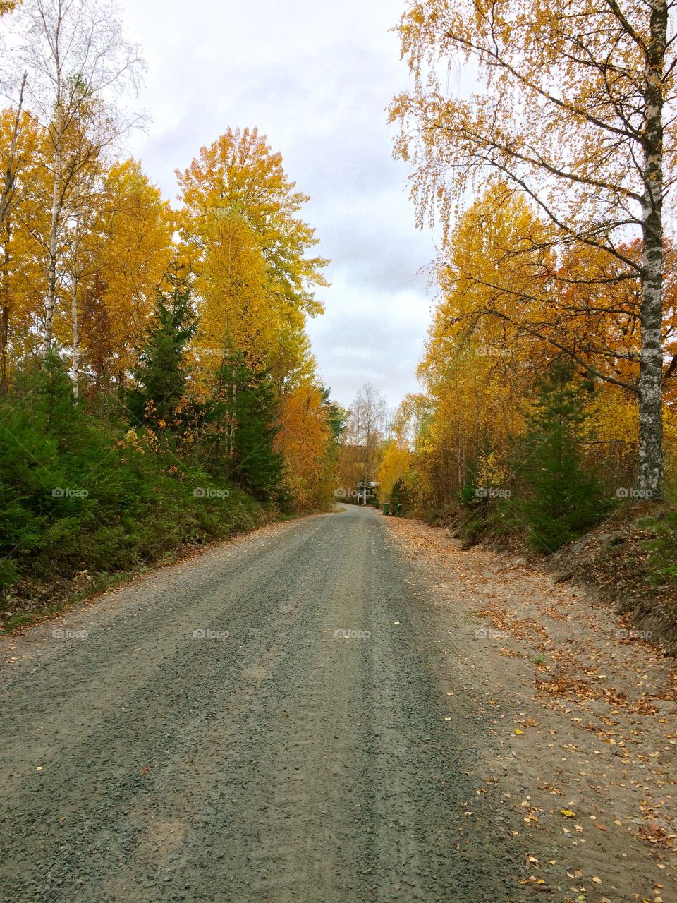 Autumn in Sweden