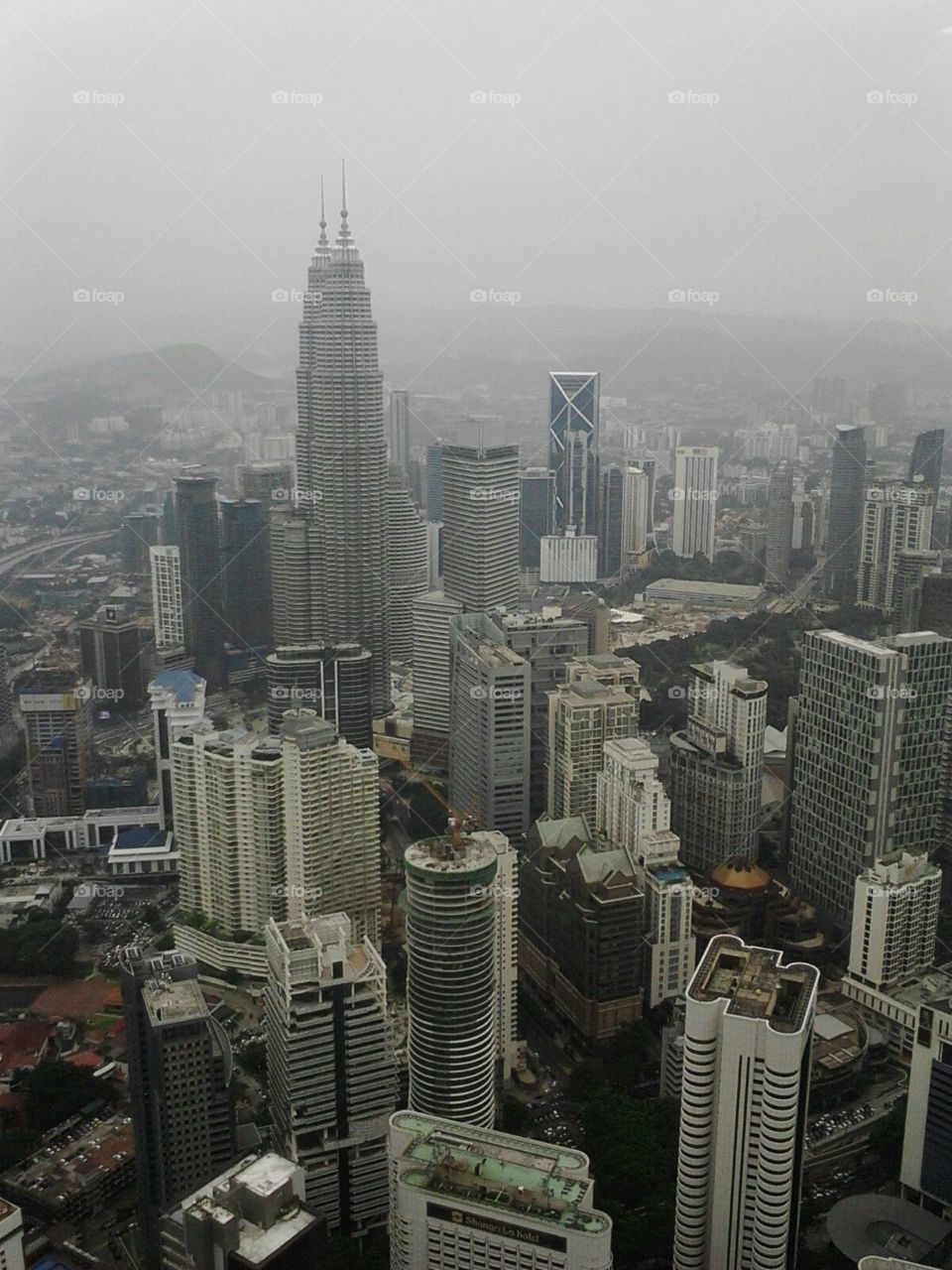 the skycrapper of malaysia