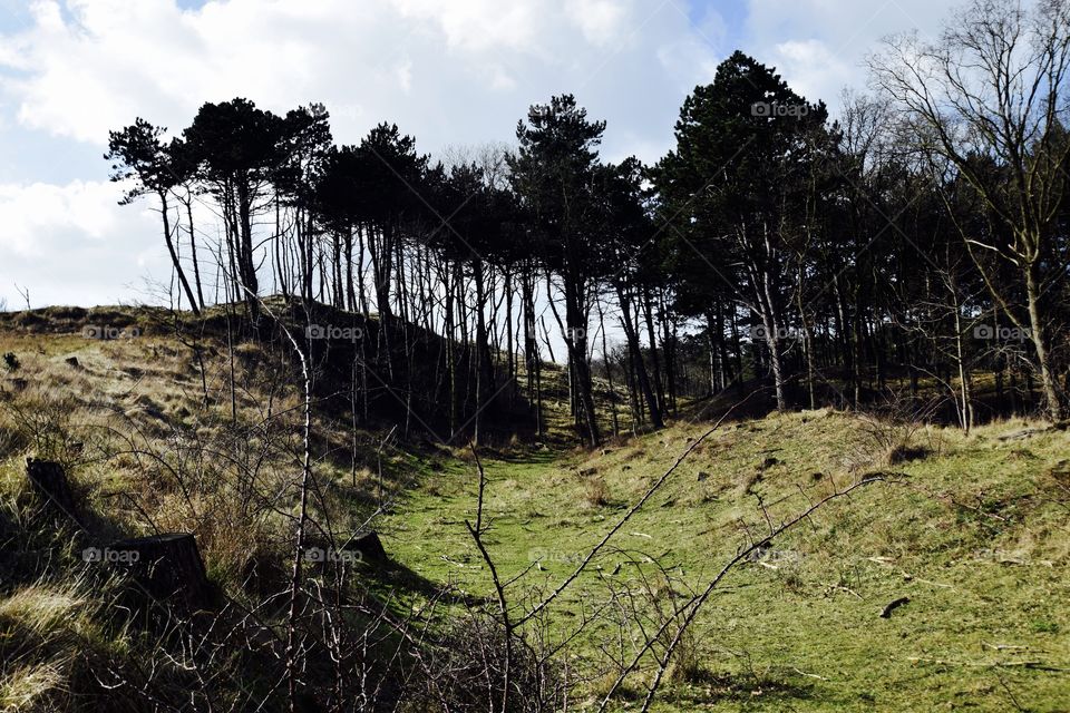 all 'bout perspective