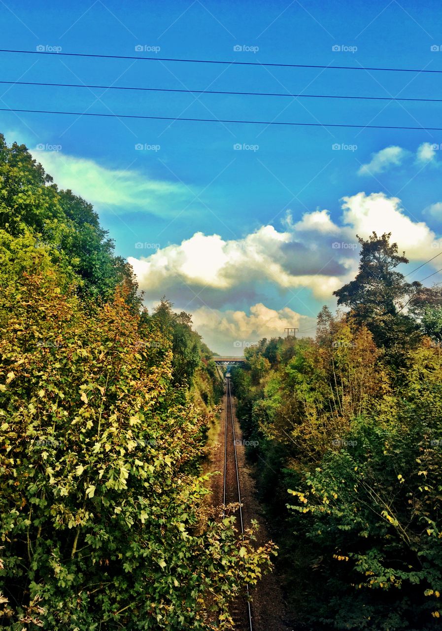 Scenic view of old railroad track