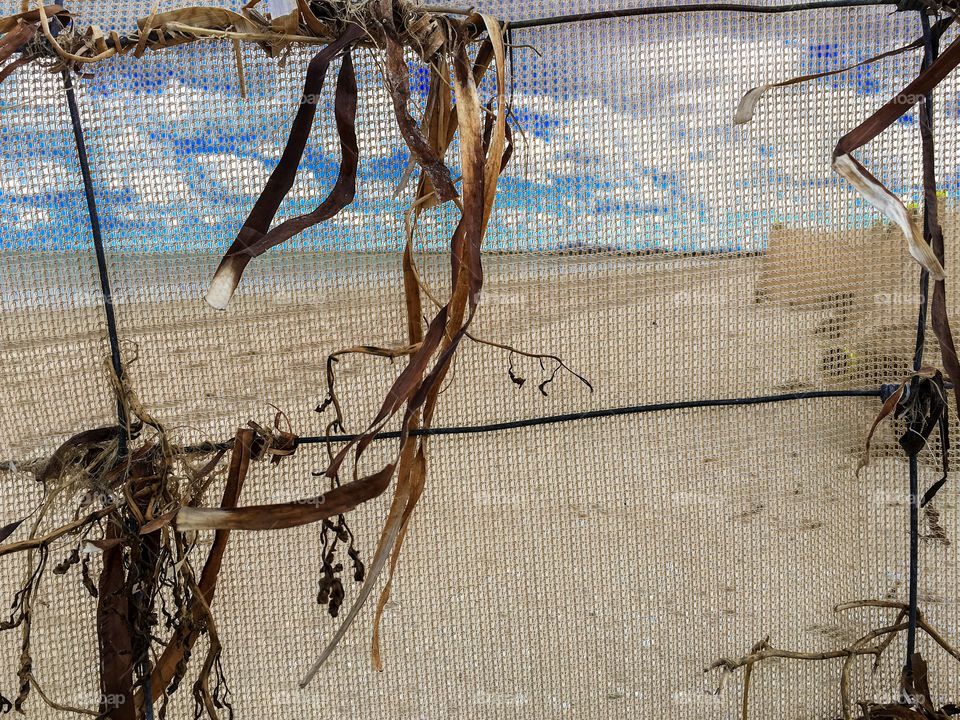 Ocean and coastline through a mesh fence on the beach