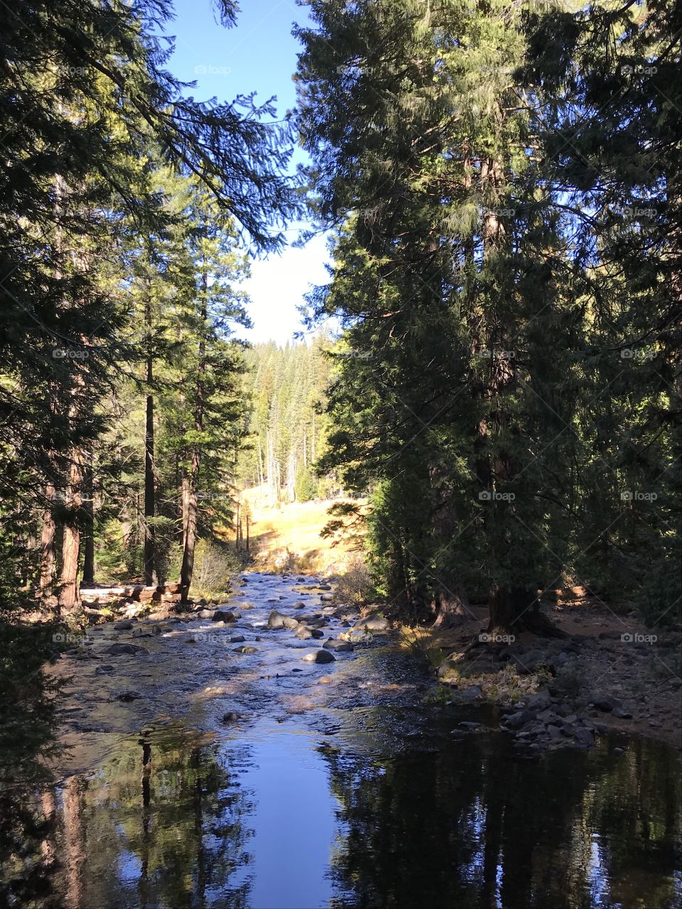 Quiet Nature Creek