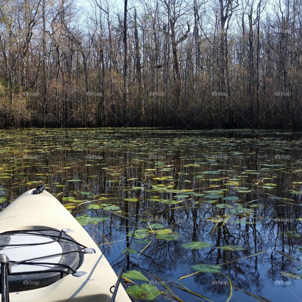 Kayaking in North Carolina