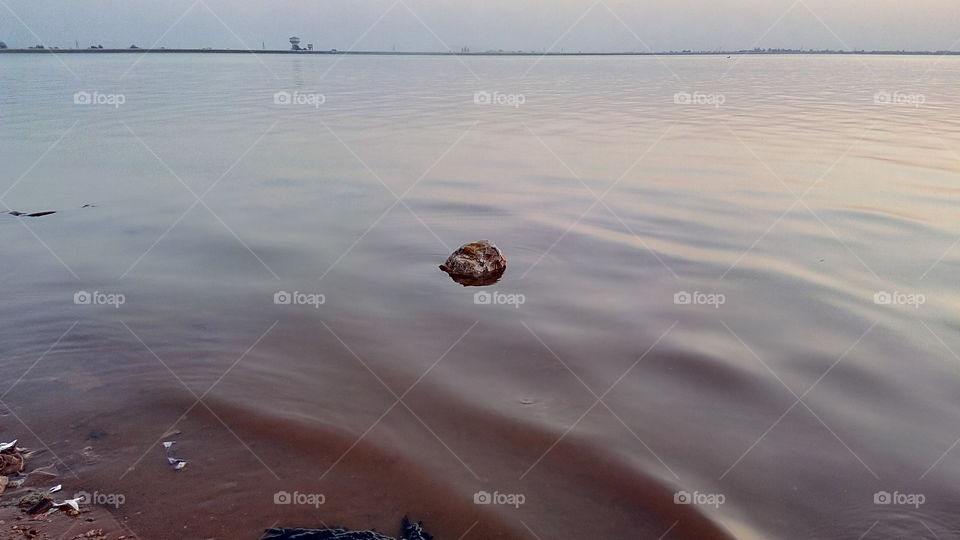 stone in still water