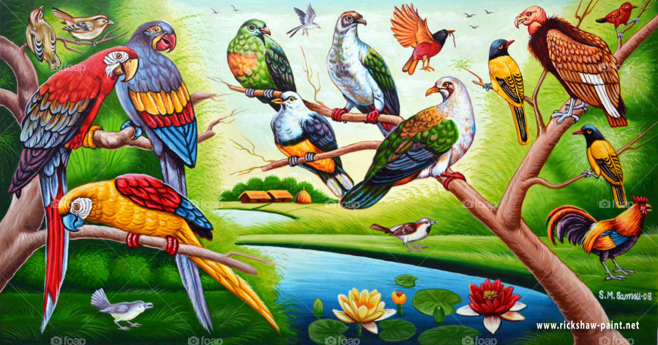 Birds Illustrations. Different Birds Illustrations