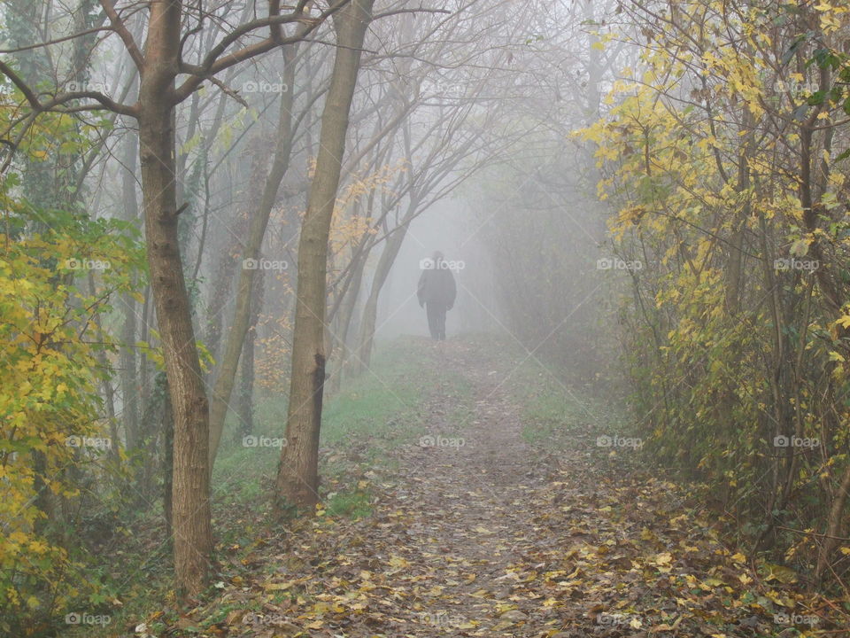 fall along the bank of the creek