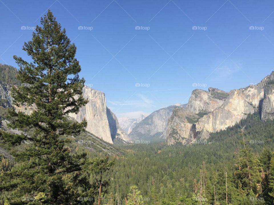 High angle view of yosemite valley