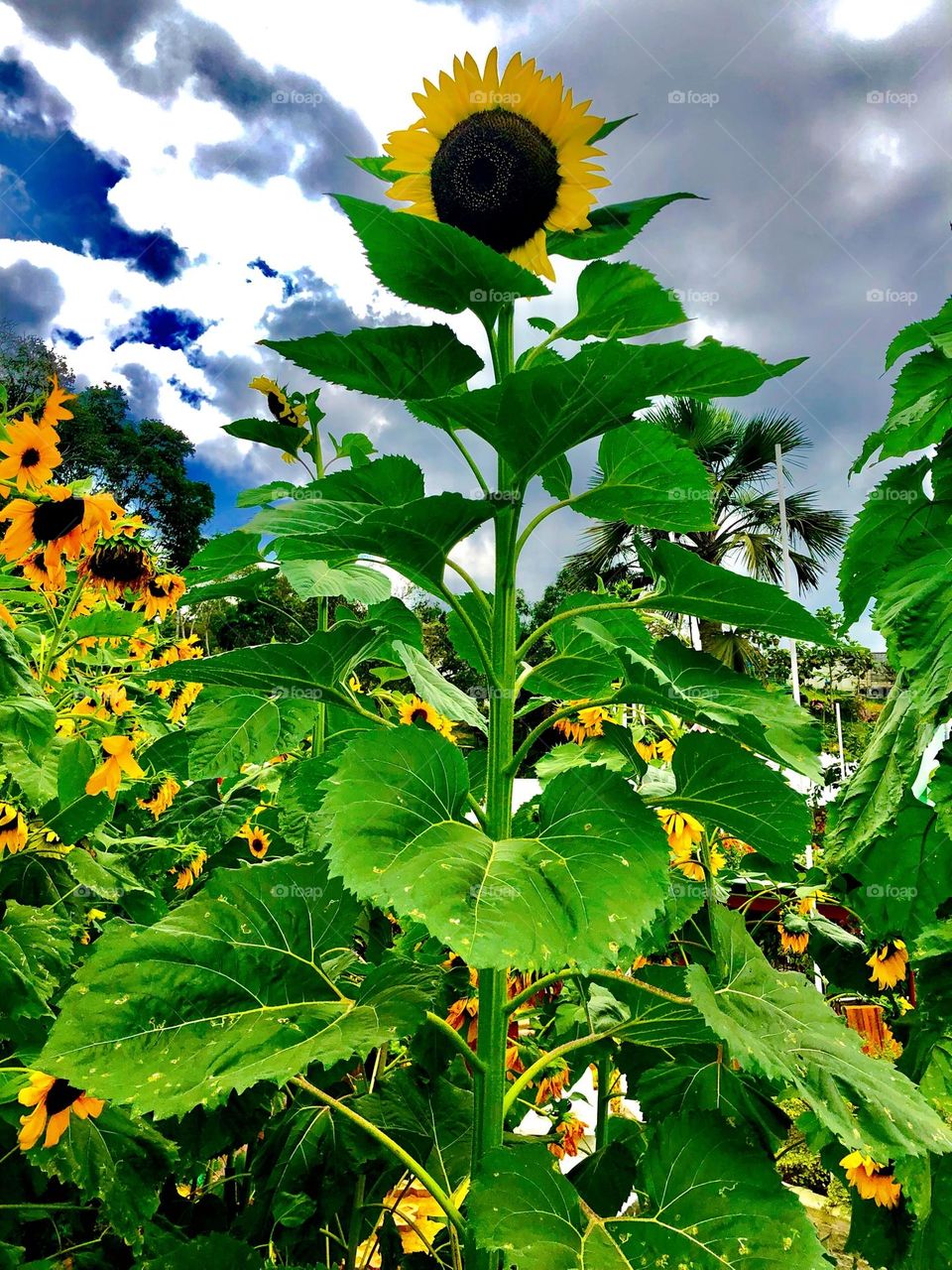 Vacation in philippines be like🥰