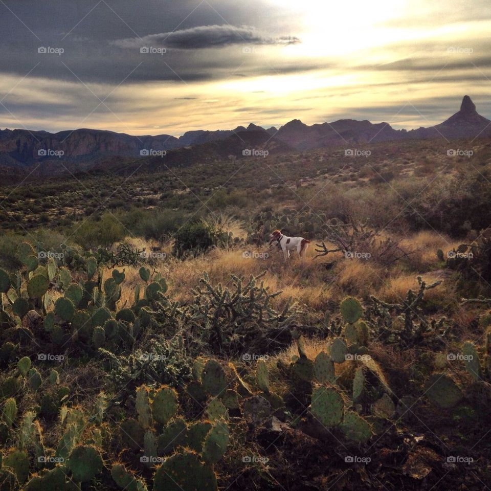 Superstition Mountains
