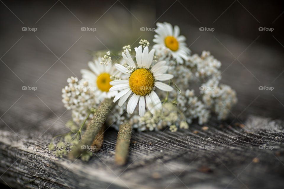 Bouquet of daisies and meadow flowers on old wooden background 