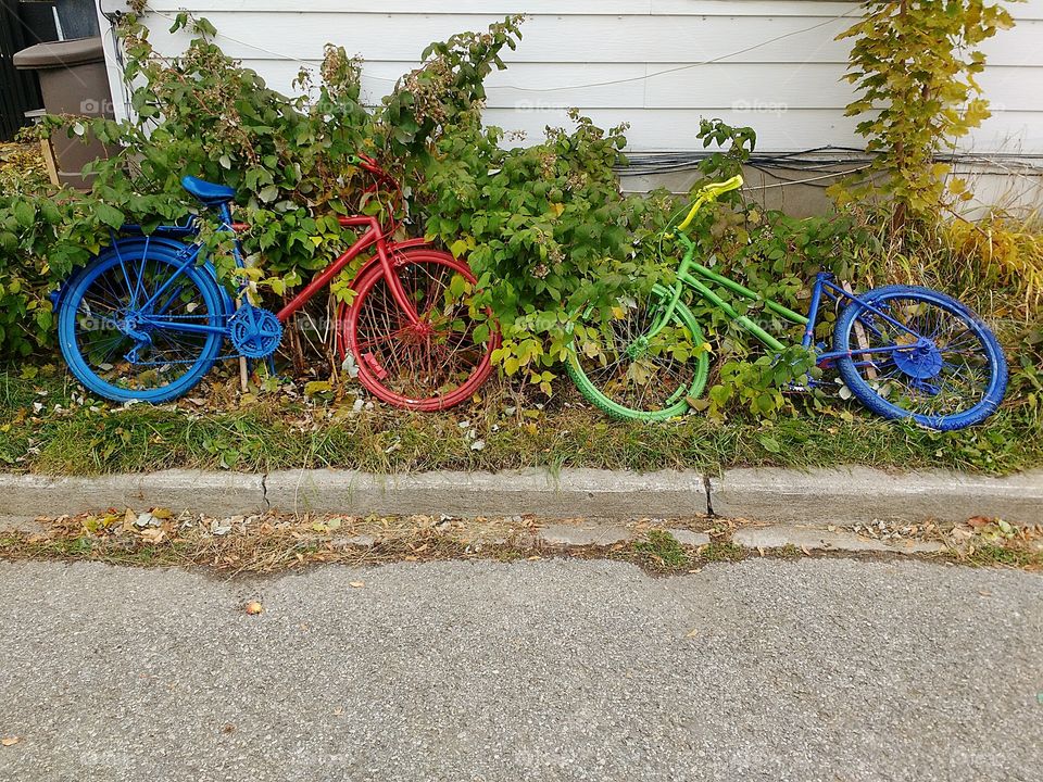 Painted bicycle street art