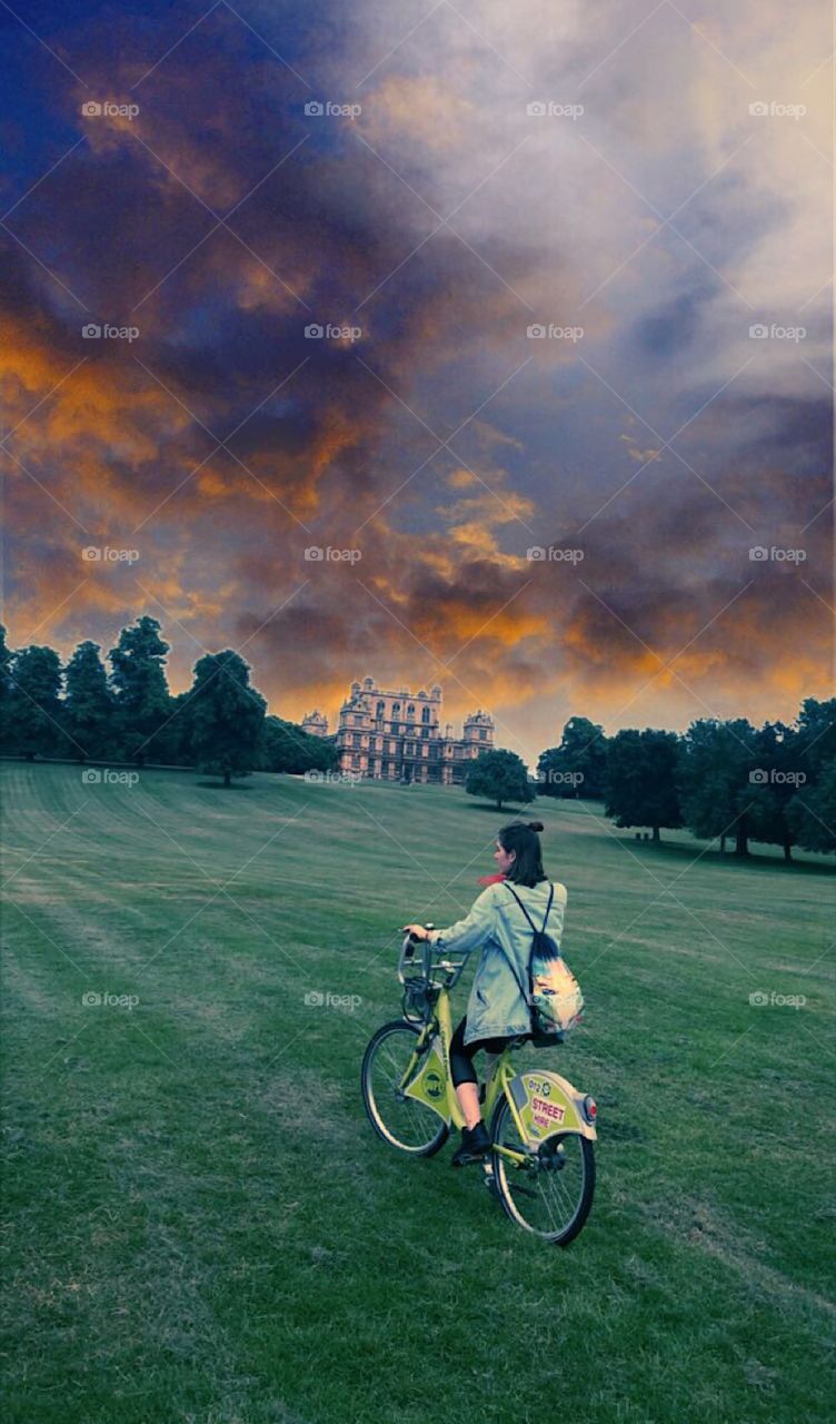 Disoriented by the sky’s confusion 