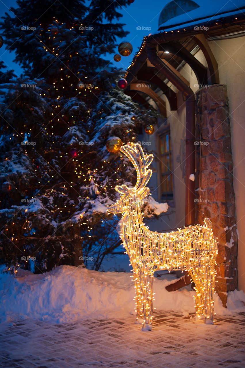 Illuminated reindeer in christmas decoration