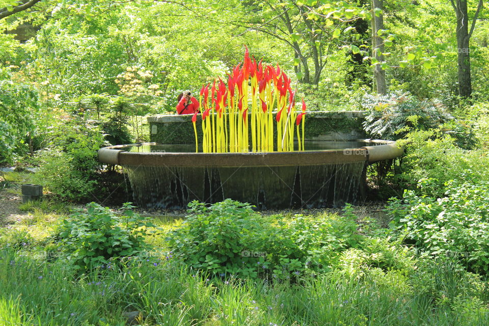 beautiful urban park with Chihuly display 