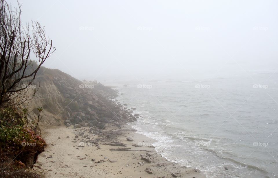 fog at the coast