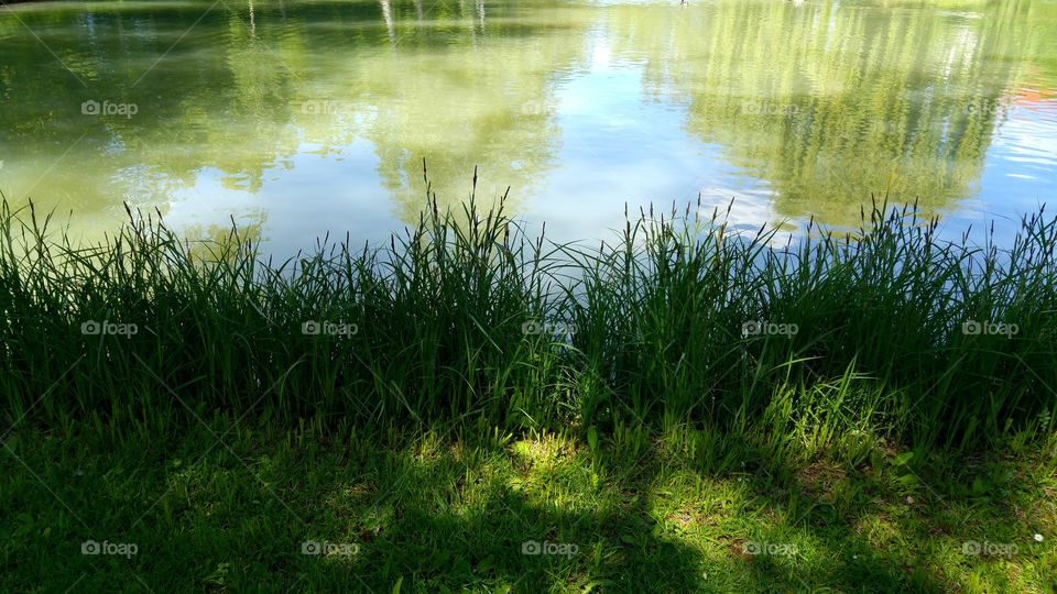gras am see