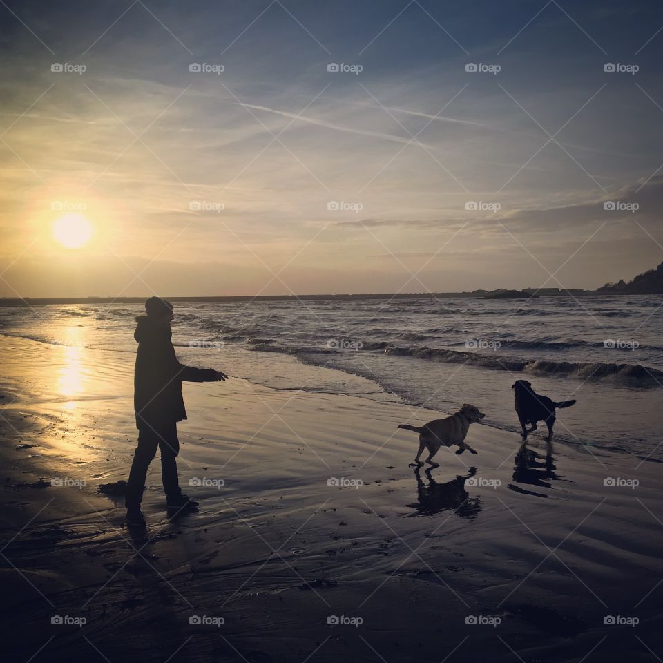 Beach dog walking