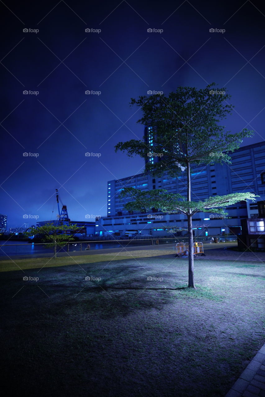 #本無樹 #kwuntong #hk #tree #blue #silent #night #sony6500 #silentnight #2018 #觀塘海濱 #kln