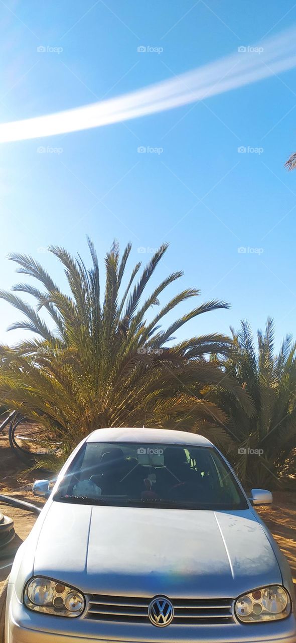 wolkswagen 4 in garden