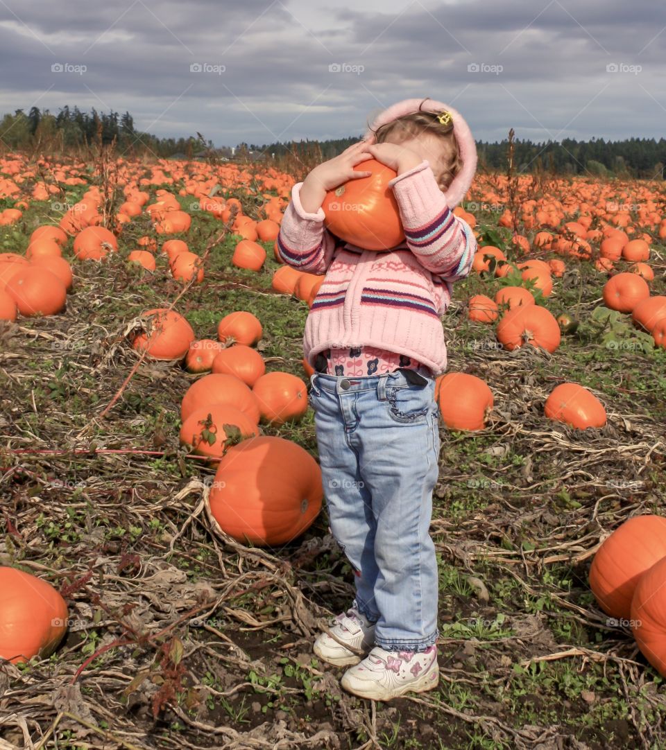 Little child holding a big pumpkin at Thanksgiving 