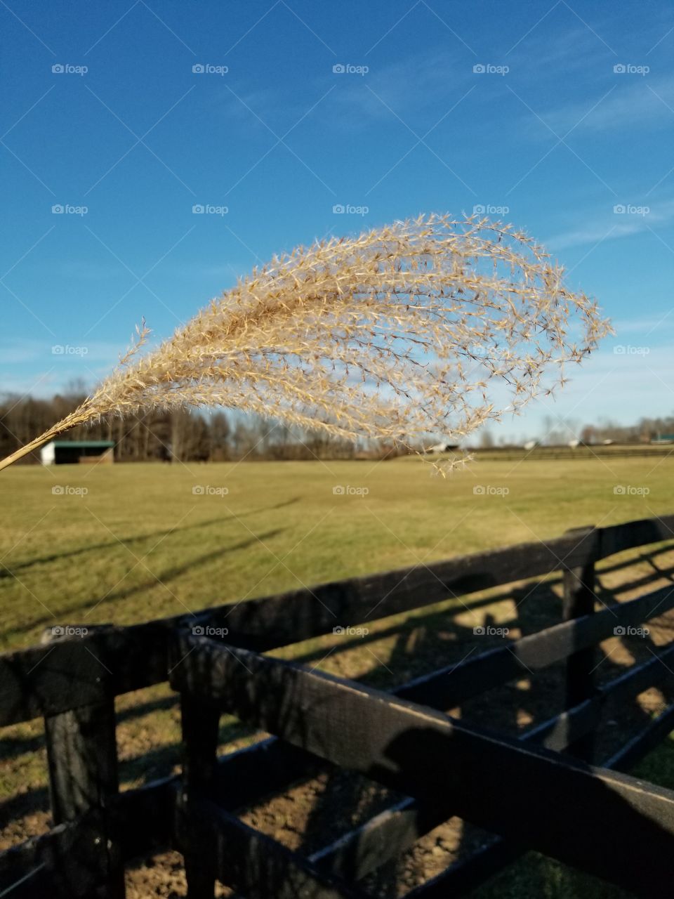 No Person, Landscape, Sky, Outdoors, Grass