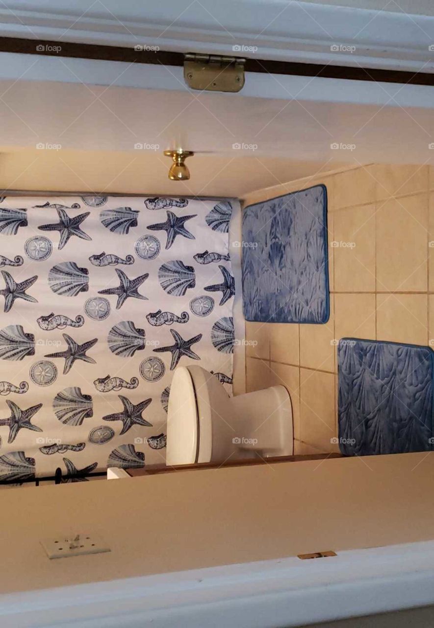 looking great with the shells and blue in the bathroom..