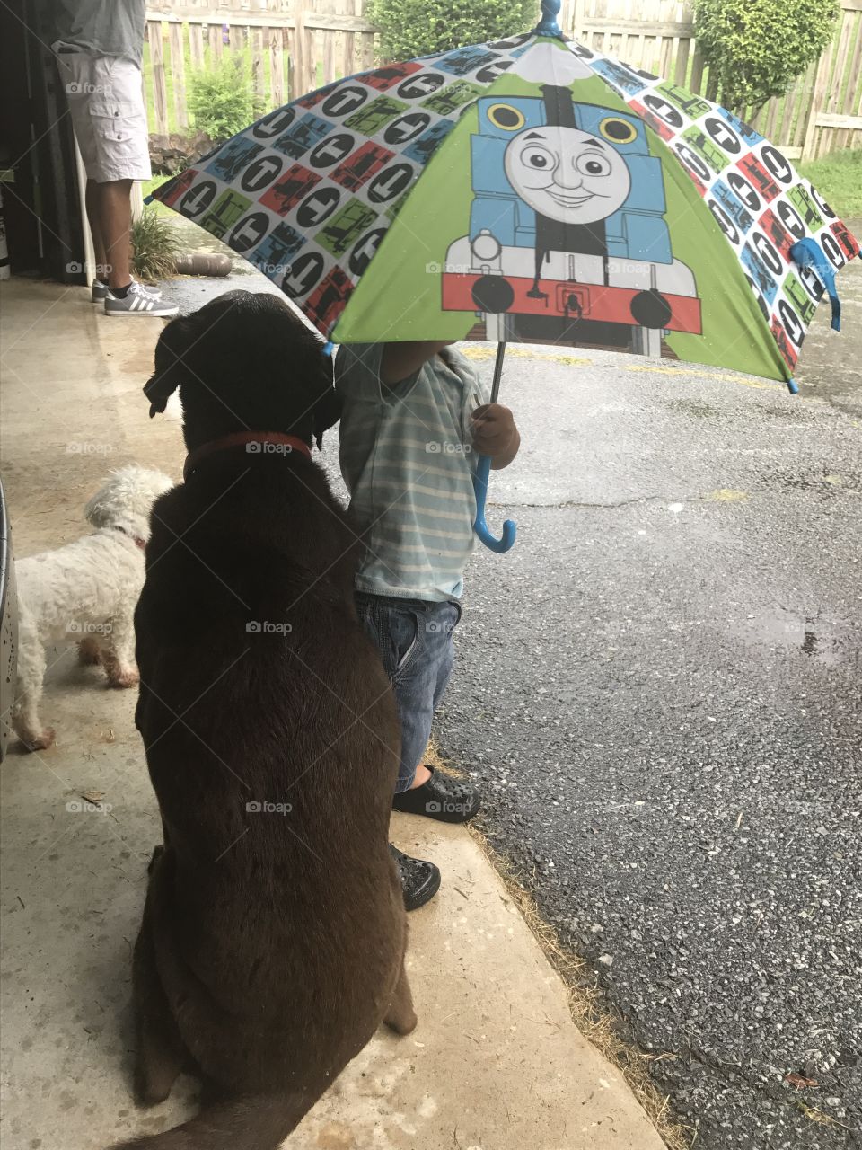 Gotta keep the dogs dry, too...