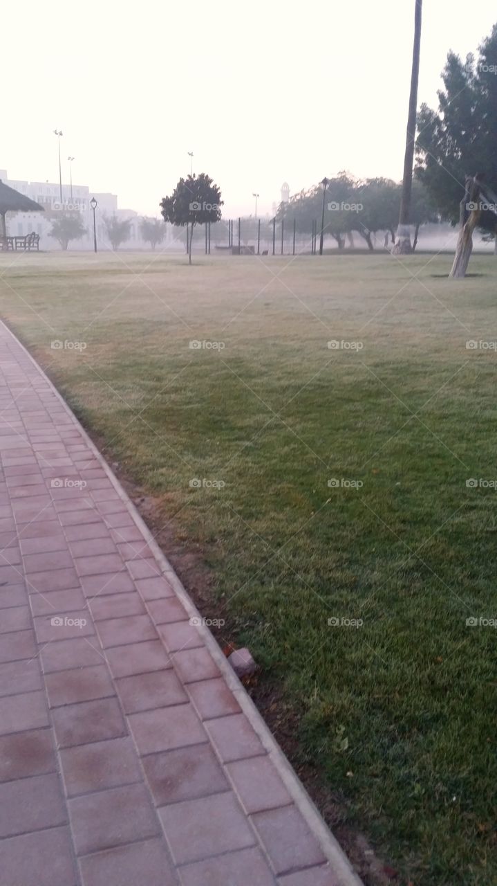 Walkway at the morning