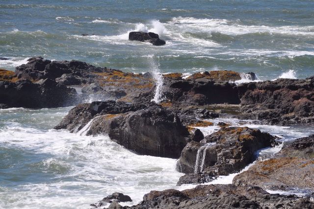 Oregon coast
