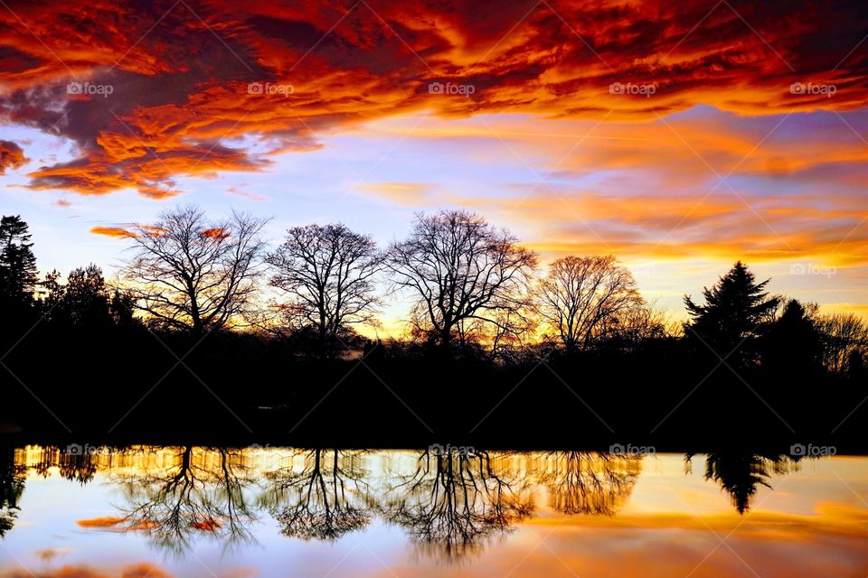 Tree silhouette with an unusual red sky formation 