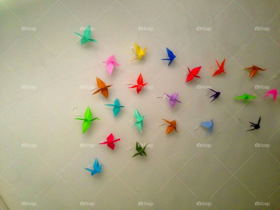 colors color birds fun by itsAus
