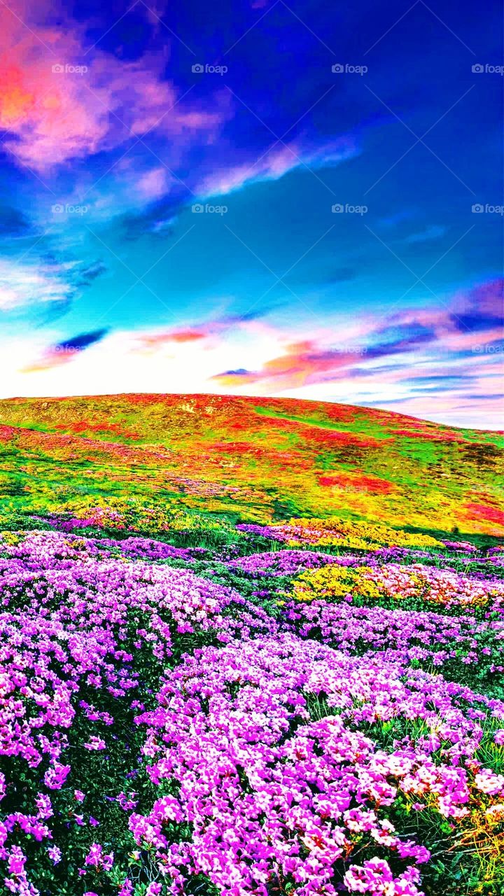 Color mix locations now