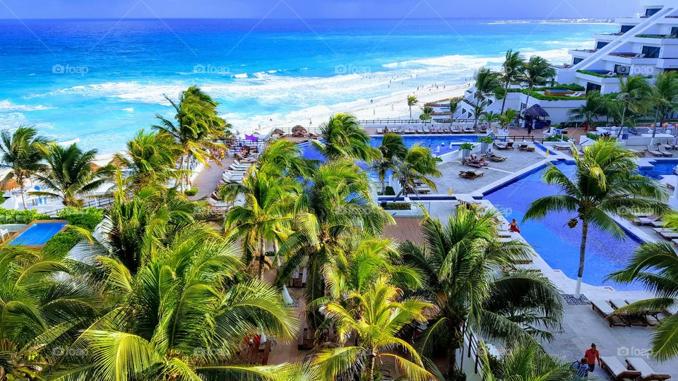 Palm, Tropical, Beach, Seashore, Resort