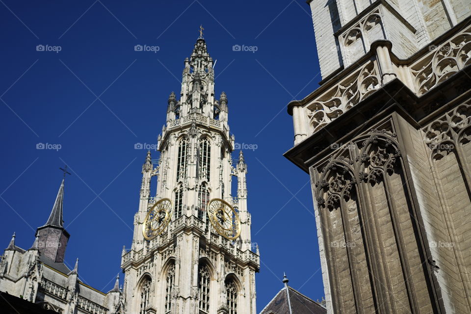 Cathedral in Antwerp