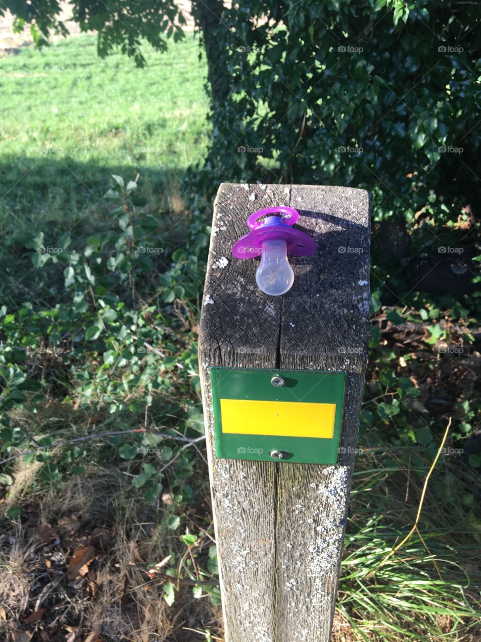 Pacifier lost by a baby