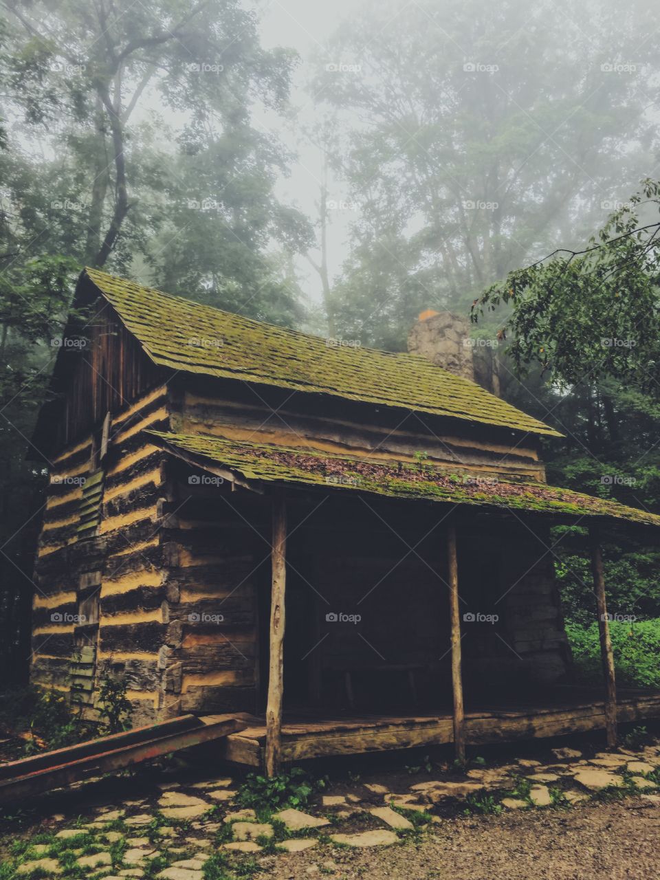 Little cabin in the foggy woods