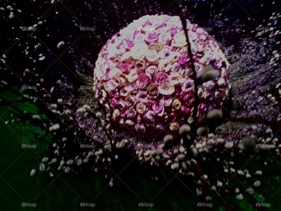 Flower sphere. Taken at the Philadelphia Flower Show . This just inspired me because I like all things round. 