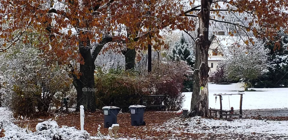 First Snow of the Year