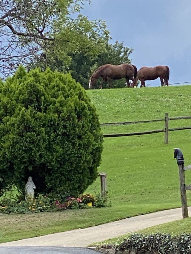 I love where I live 