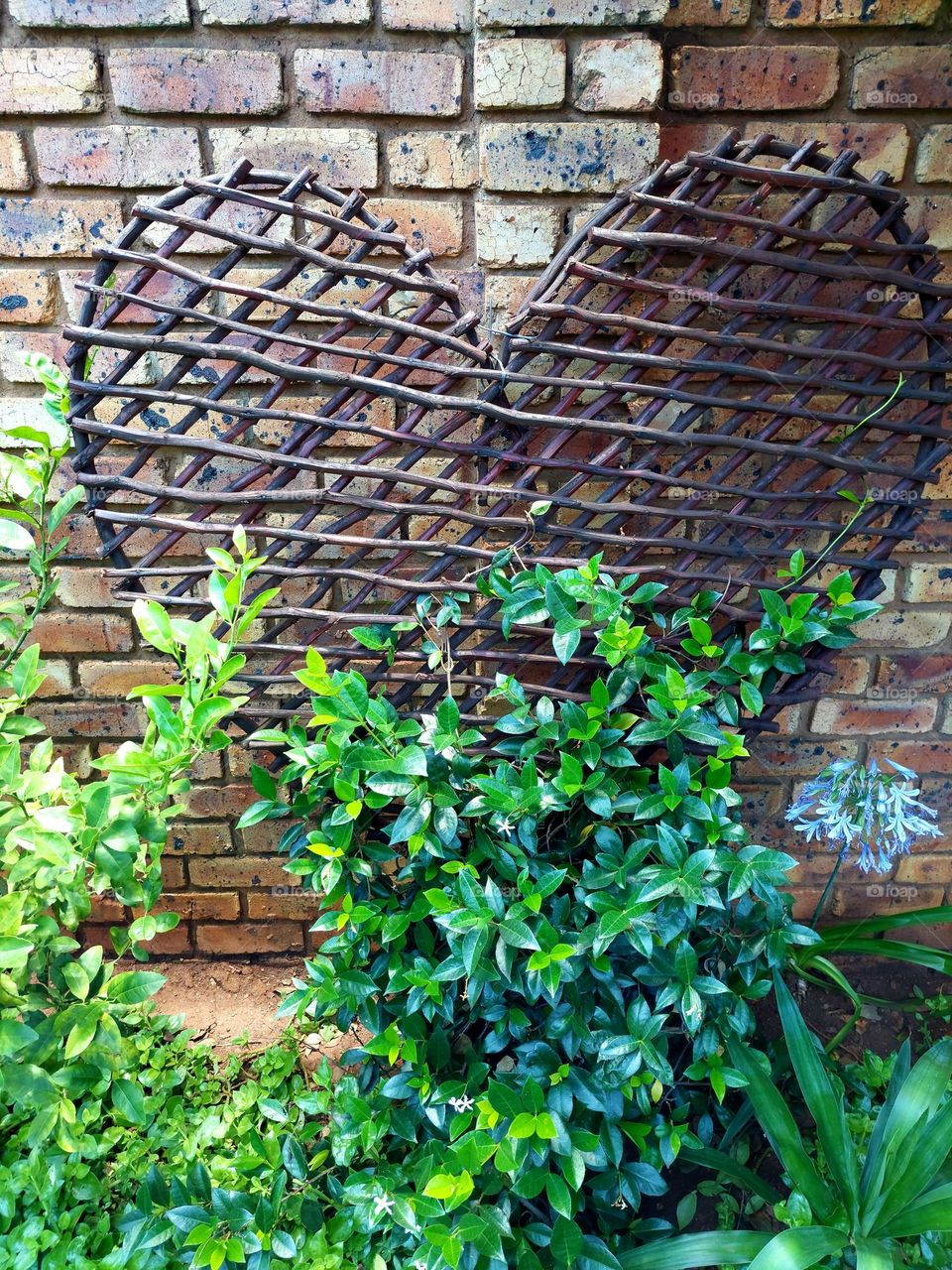 A large heart made of wooden sticks in the front garden of a home