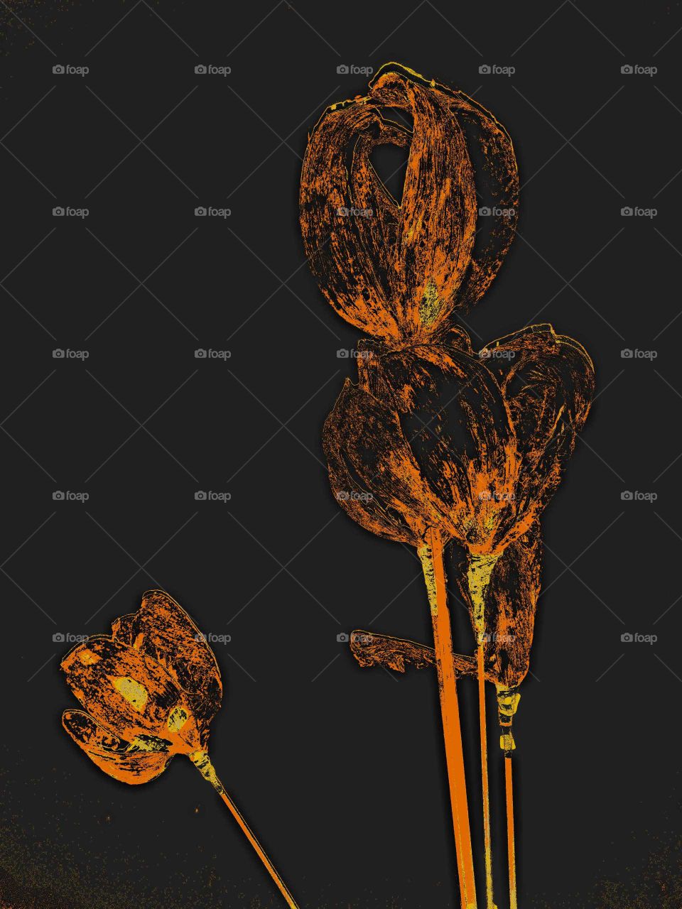 No Person, Nature, Leaf, Fall, Disjunct