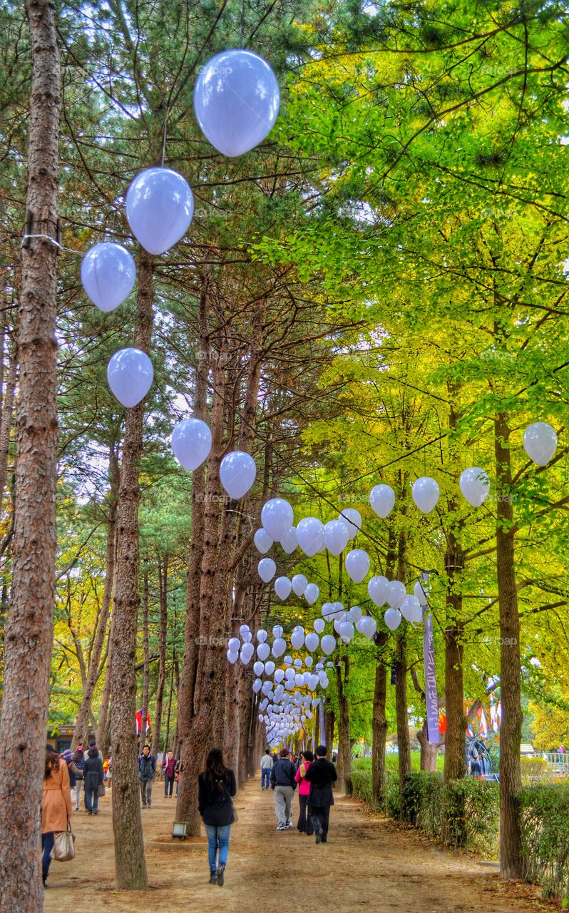 nami island