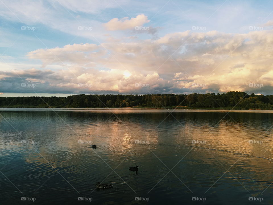 nature in the evening before sunset