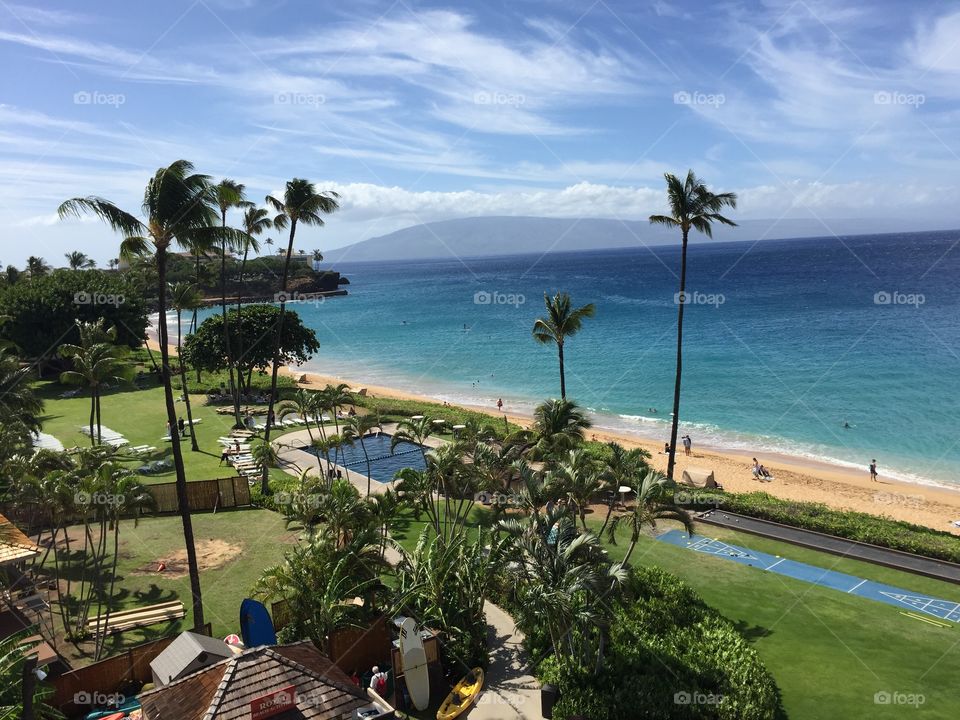 Hawai'ian coastal landscape