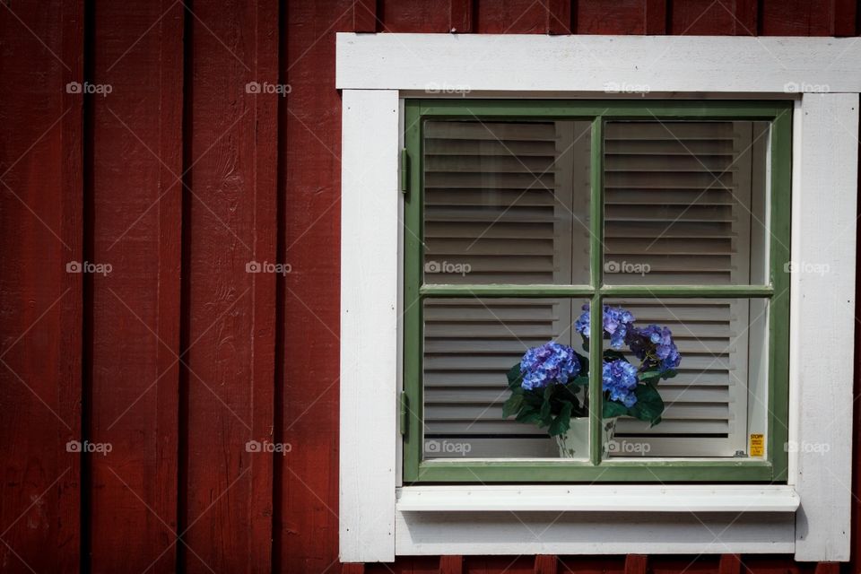 Wood, Window, Door, House, Shutter