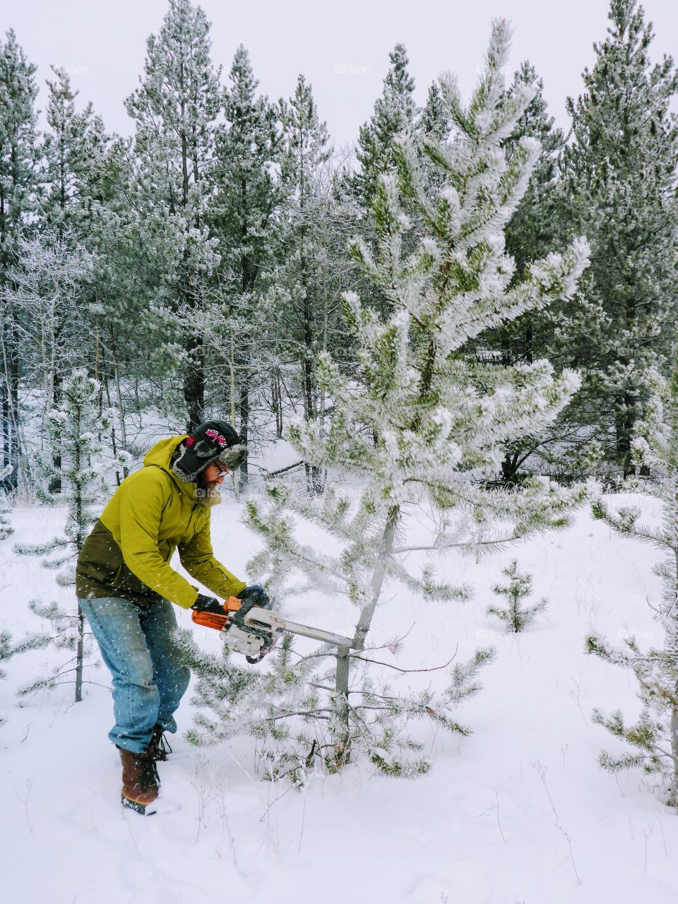 Christmas tree