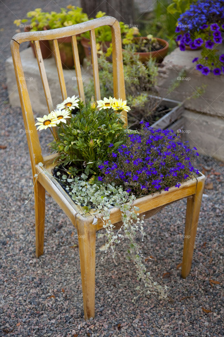 Flower chair