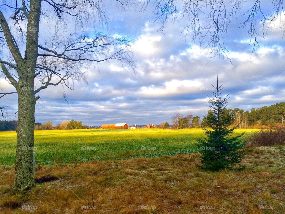 A December morning in Sweden